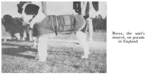 Black and white photograph of a dog
