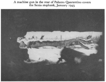 Black and white photograph of a gun